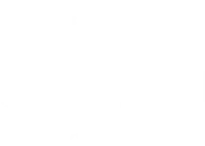 Sellium Academy